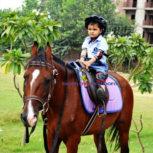 Horse Riding for Kids Party