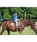 Horse Riding