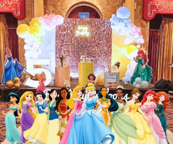 Disney Princess Theme Party Decorations