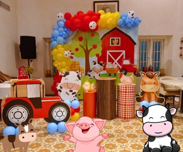Farm Barn Theme Party Decorations