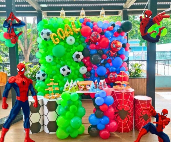 Spiderman Theme Party Decorations